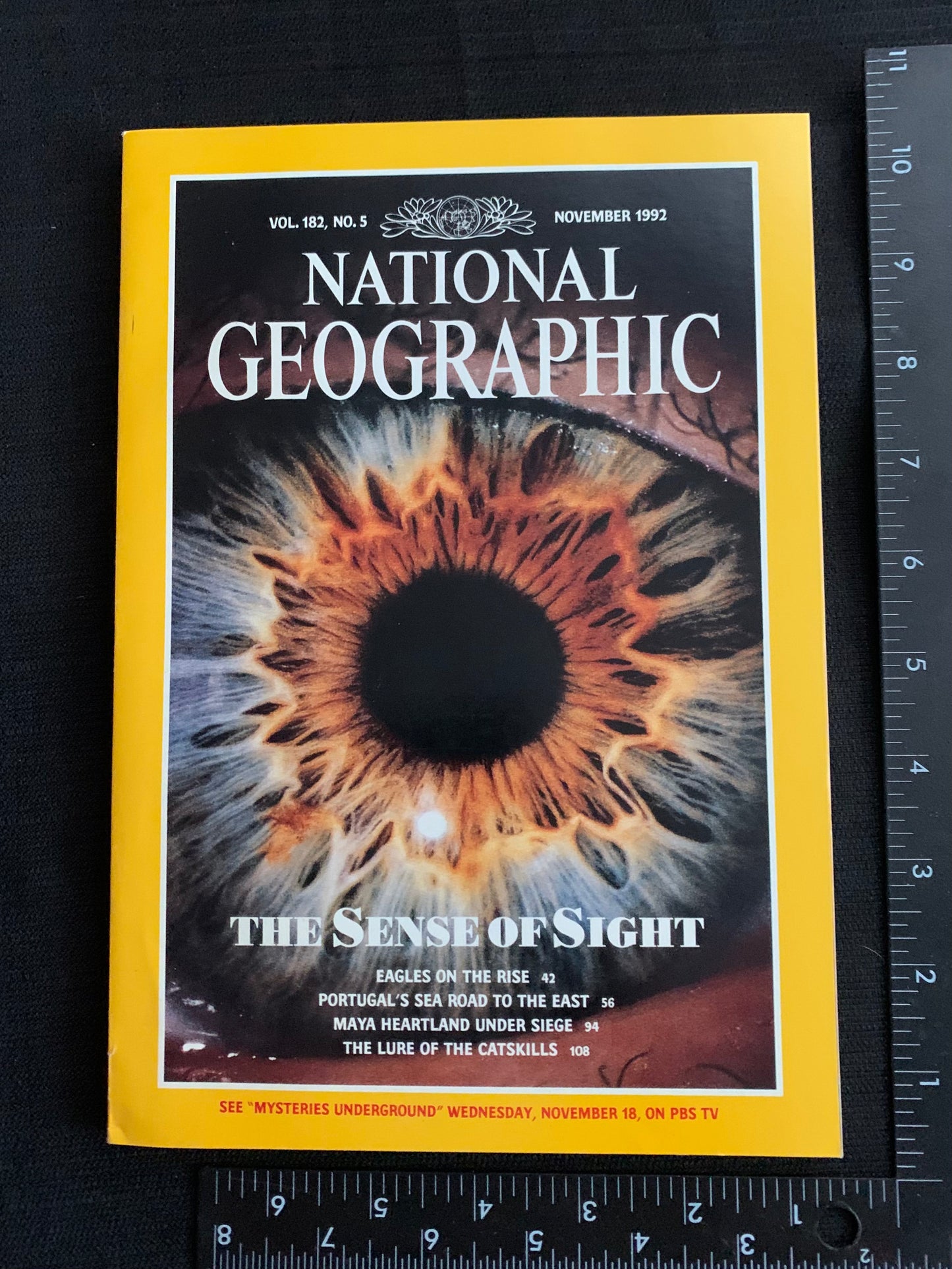 National Geographic Magazine July - December 1992 in Collector Case with 5 books