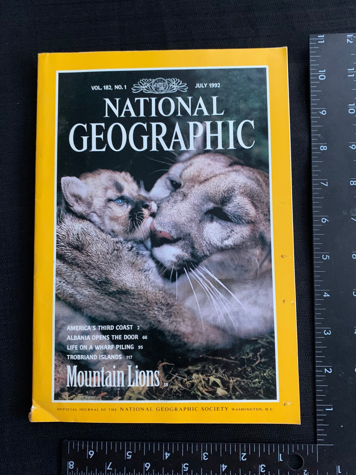 National Geographic Magazine July - December 1992 in Collector Case with 5 books